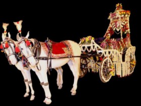 Wedding Ghodi Baggi Wale